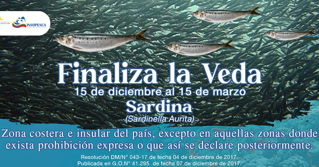 Zafra de la sardina finaliza el 15 de marzo