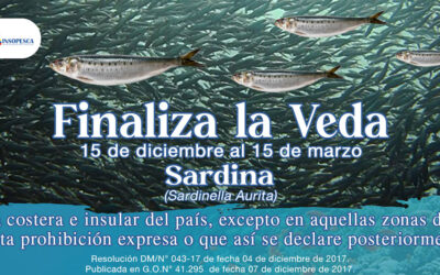 Zafra de la sardina finaliza el 15 de marzo