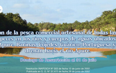 Inicia veda de pesca comercial artesanal de todas las especies de peces