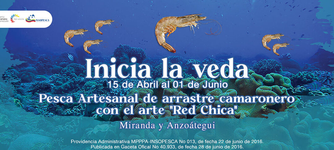 Inicia veda del camarón por arte de pesca en Miranda y Anzoátegui