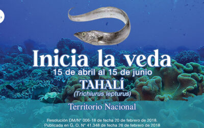 Inicia veda de la especie tahalí