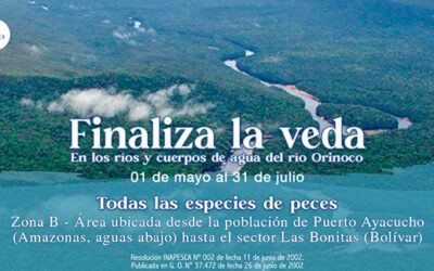 Finaliza la Veda de Pesca en la “Zona B” del Orinoco: INSOPESCA Anuncia Reapertura de Actividades con Permiso Obligatorio